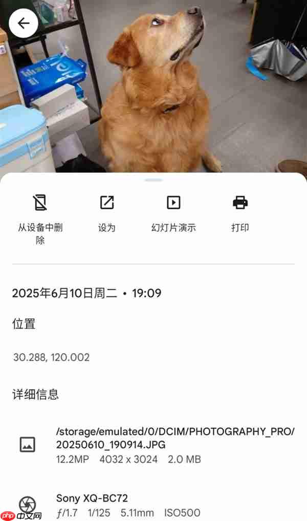 你可能根本不知道 自己适不适合影像旗舰