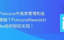 如何在Pimcore中高效管理和发送邮件营销?PimcoreNewsletterBundle助你轻松实现!