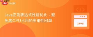 Java正则表达式性能优化：避免高CPU占用的灾难性回溯