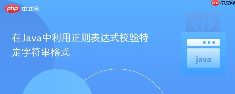 在Java中利用正则表达式校验特定字符串格式