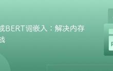 高效生成BERT词嵌入：解决内存溢出挑战