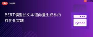 BERT模型长文本词向量生成与内存优化实践