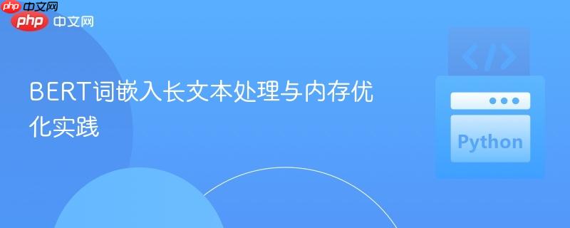 BERT词嵌入长文本处理与内存优化实践
