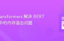 使用 Transformers 解决 BERT 词嵌入中的内存溢出问题