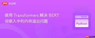 使用 Transformers 解决 BERT 词嵌入中的内存溢出问题