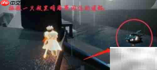 光遇1.21每日任务攻略