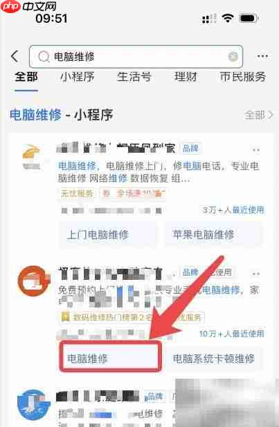支付与电脑维修在线咨询指南