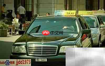 出租车行审是什么?