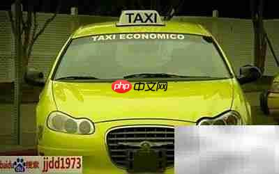 出租车行审是什么?