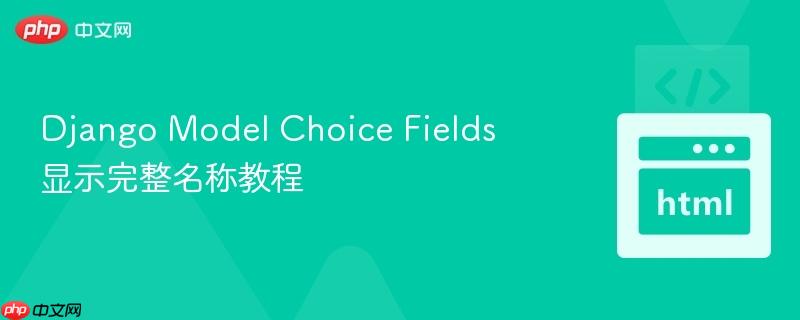 Django Model Choice Fields 显示完整名称教程