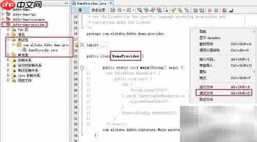 Dubbo服务调试操作指南