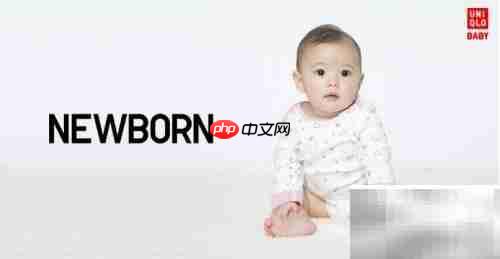 巧记英语不及物动词