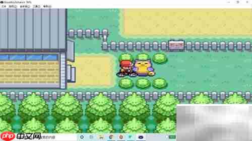 火红版卡比兽唤醒方法