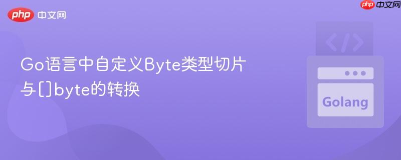 go语言中自定义byte类型切片与[]byte的转换