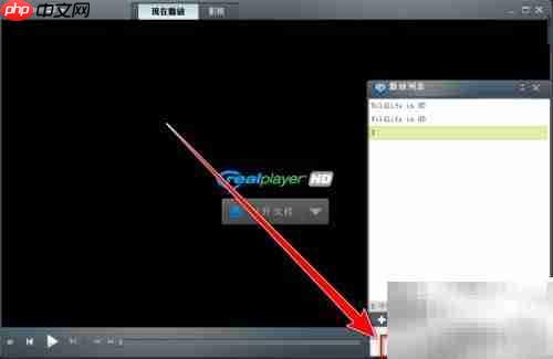 RealPlayer导出播放列表方法