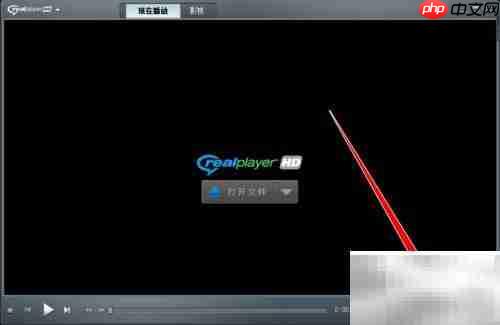 realplayer导出播放列表方法