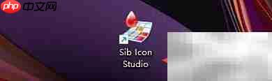 Sib Icon Studio重置画布大小教程