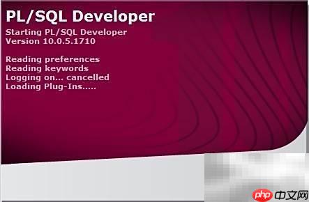 Oracle使用入门指南