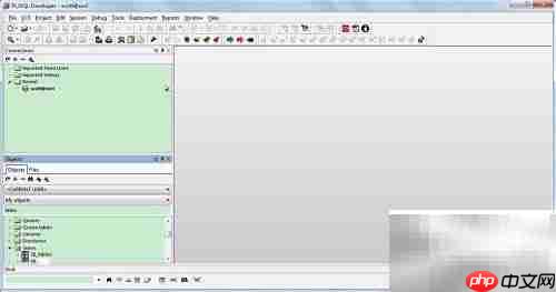 Oracle使用入门指南