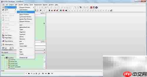 Oracle使用入门指南