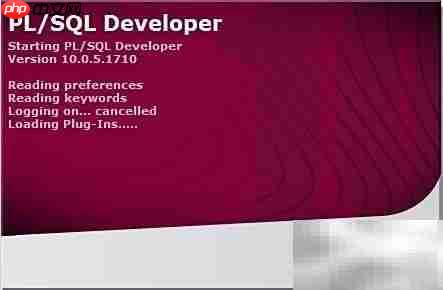 Oracle使用入门指南