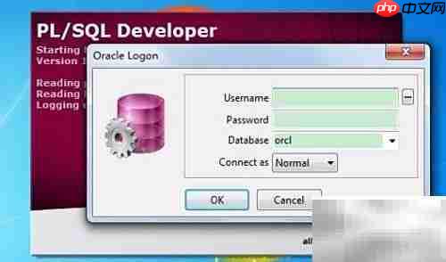 Oracle使用入门指南