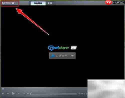 RealPlayer随机播放视频方法
