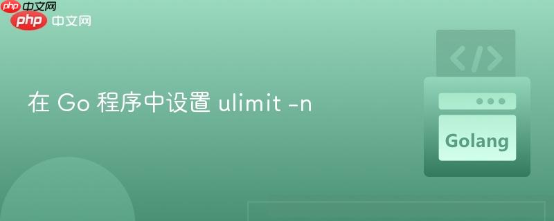 在 go 程序中设置 ulimit -n