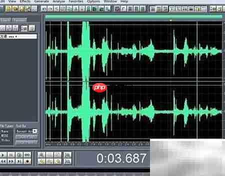 Cool Edit Pro声音快进滤镜教程