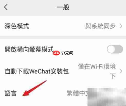 iPhone设置简体中文教程