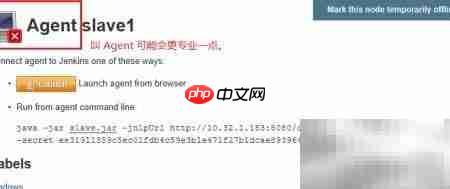 Jenkins主从节点安装指南