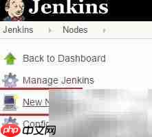 Jenkins主从节点安装指南