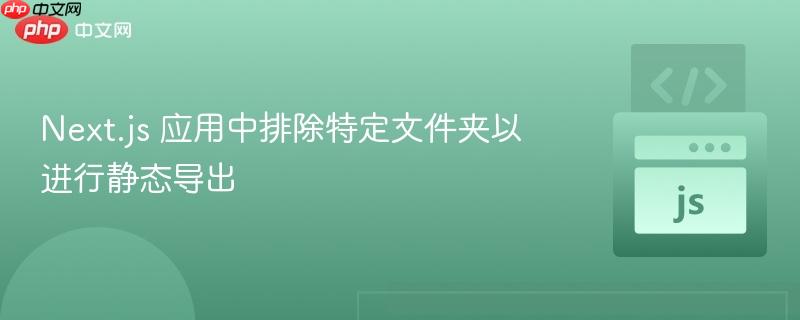Next.js 应用中排除特定文件夹以进行静态导出