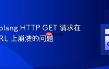 解决 Golang HTTP GET 请求在某些 URL 上崩溃的问题