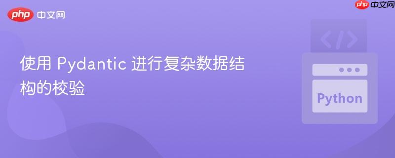 使用 pydantic 进行复杂数据结构的校验