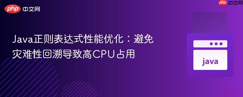 Java正则表达式性能优化:避免灾难性回溯导致高CPU占用