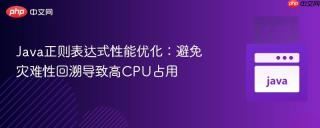 Java正则表达式性能优化：避免灾难性回溯导致高CPU占用