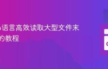 使用Go语言高效读取大型文件末尾内容的教程