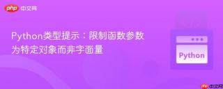 Python类型提示：限制函数参数为特定对象而非字面量