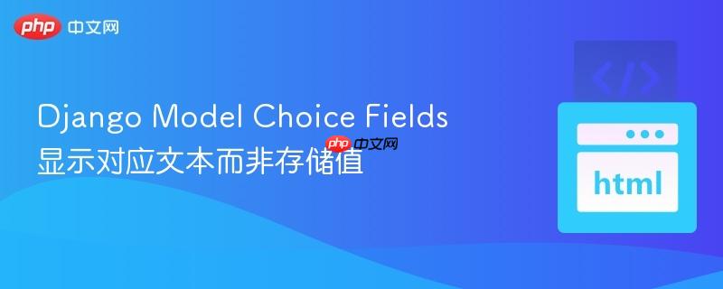 django model choice fields 显示对应文本而非存储值