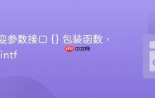 使用可变参数接口 {} 包装函数，例如 Printf