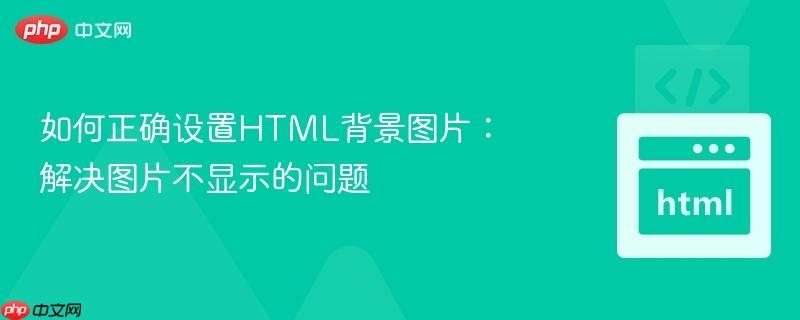 如何正确设置HTML背景图片：解决图片不显示的问题