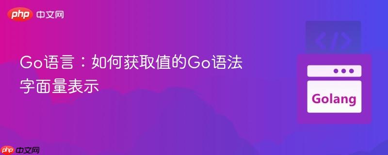 Go语言：如何获取值的Go语法字面量表示
