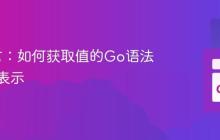 Go语言：如何获取值的Go语法字面量表示