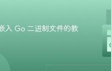 将文件嵌入 Go 二进制文件的教程