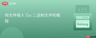 将文件嵌入 Go 二进制文件的教程
