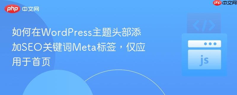 如何在wordpress主题头部添加seo关键词meta标签,仅应用于首页