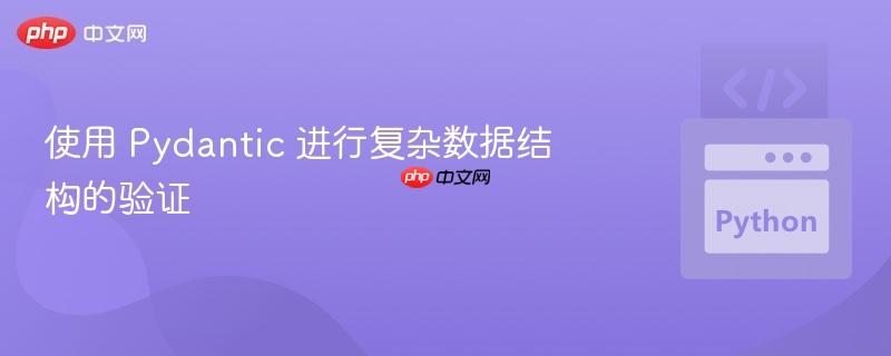 使用 Pydantic 进行复杂数据结构的验证