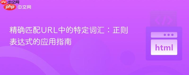 精确匹配URL中的特定词汇:正则表达式的应用指南