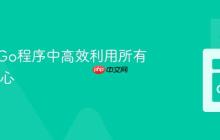 如何在Go程序中高效利用所有CPU核心